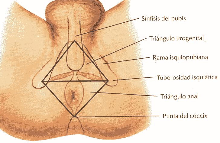 ¿Qué es el Core? ¿Qué es el Core?